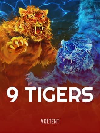 9 Tigers