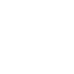 Christmas Specials  image